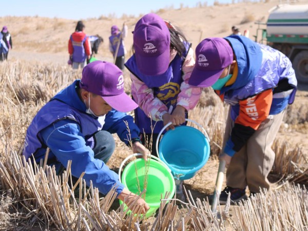 甘肅建投新能源公司沙漠研學旅行基地舉辦“我與小樹共成長，爭做護綠小使者”主題研學活動